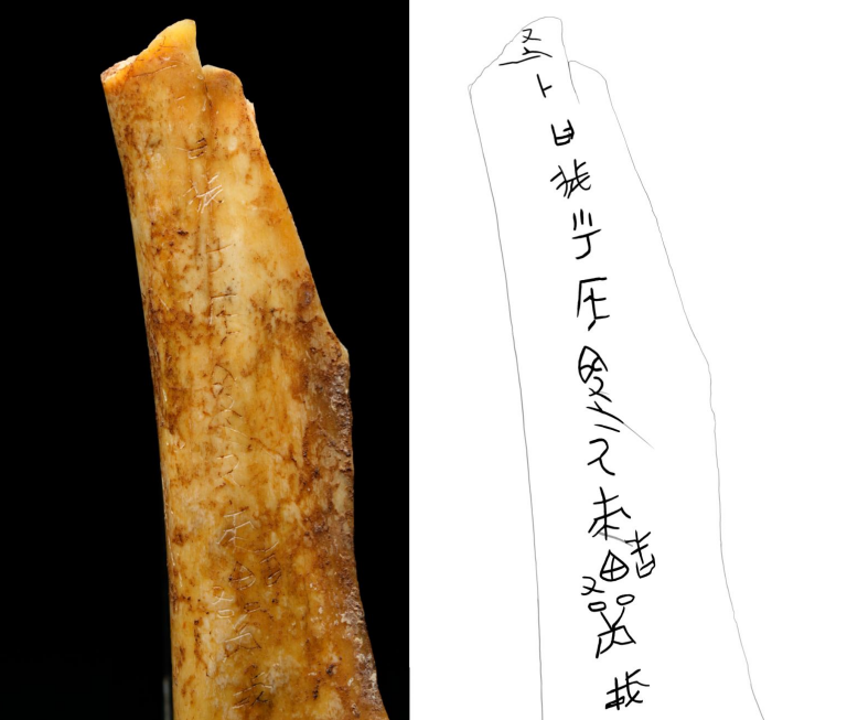 为什么是它们？2024年度全国十大考古新发现今日出炉(图16)