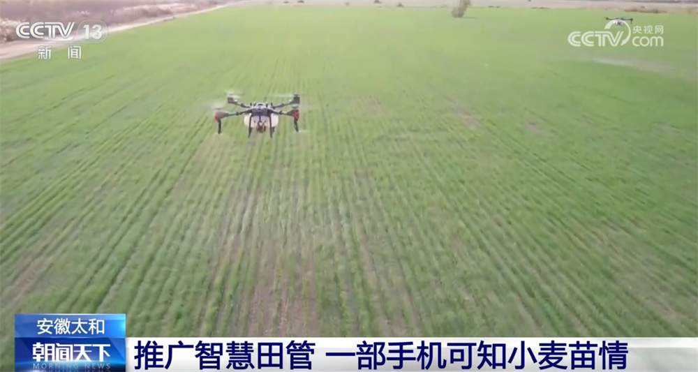 球盟会入口：智慧农业为农业现代化插上“科技的翅膀” 让科学种田从梦想照进现实(图4)