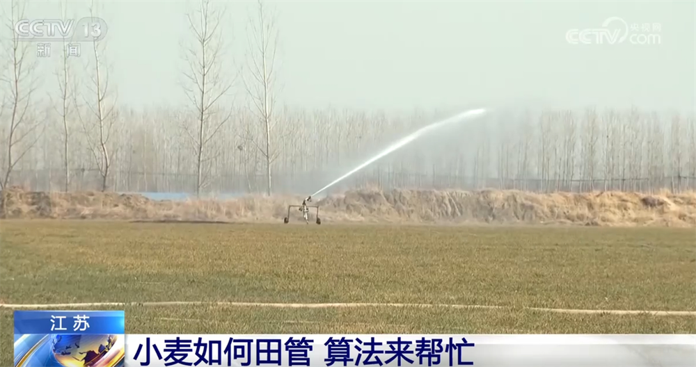 球盟会入口：智慧农业为农业现代化插上“科技的翅膀” 让科学种田从梦想照进现实(图6)