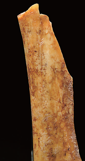 球盟会入口：考古实证中华文明的博大气象——2024年度“全国十大考古新发现”亮点扫描(图4)