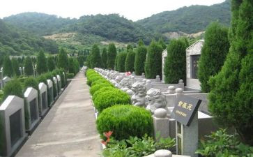 山水砚章——看上犹县如何借“反向旅游”出彩出圈(图1)