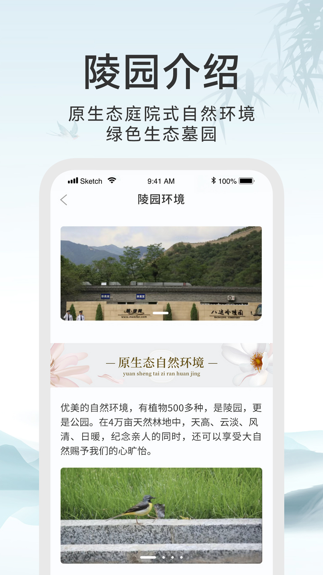 八宝山公墓中受祭拜最多的是谁？81号墓安葬着谁？无名墓碑是谁(图1)