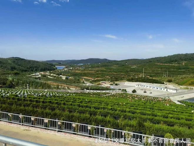 一站式了解！2025年大连天台阁公墓购墓价格全览表！(图3)