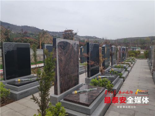 球盟会：泰安：清明“云祭扫” 捎去思念情(图1)