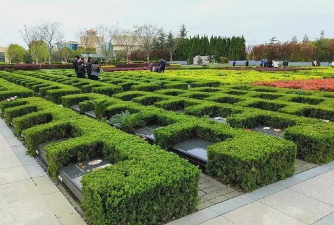 球盟会：殡葬豪宅不香了？76万一平米墓地遇冷“福寿园”神话跌落神坛了(图4)