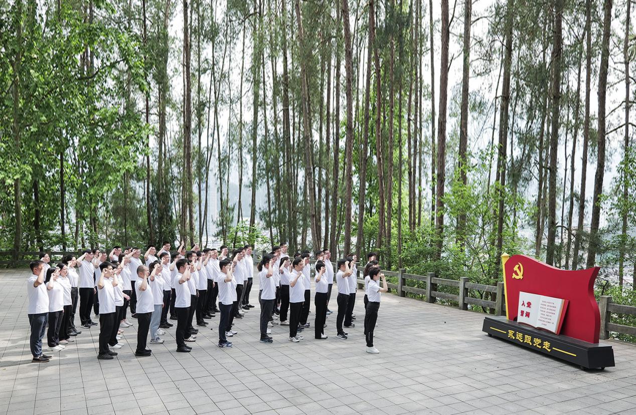 安徽省招标集团：“五个引领”锻造高质量发展硬核引擎(图2)