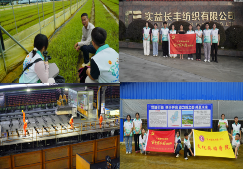 文旅先锋助振兴 多彩乡村展新颜——广东工程职业技术学院文旅先锋突击队赴桥头镇开展暑期三下乡实践(图2)