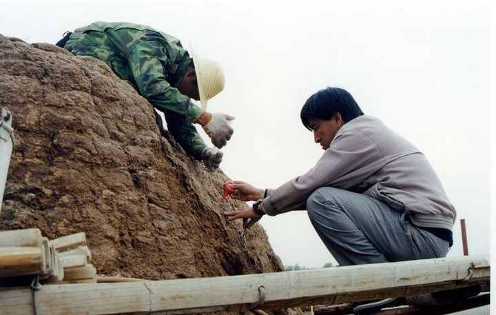 沉寂的西夏文字里藏着丰富的中华文明(图4)