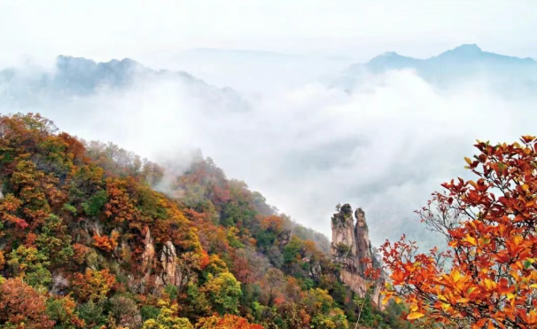 拒做“卷王”！来河南小县邂逅秋日美好｜月满华诞8天乐(图6)