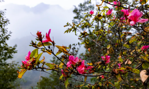 拒做“卷王”！来河南小县邂逅秋日美好｜月满华诞8天乐(图7)