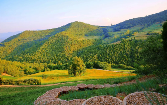 拒做“卷王”！来河南小县邂逅秋日美好｜月满华诞8天乐(图13)