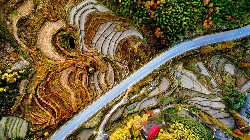 拒做“卷王”！来河南小县邂逅秋日美好｜月满华诞8天乐(图21)