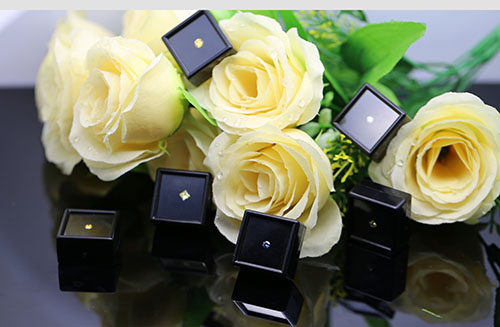 宏利圣得的技术用一台宠物火化炉子定义宠物生命的终极仪式(图1)