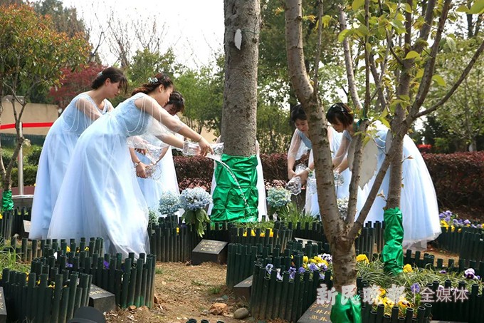 综合新闻 - 邵武新闻网(图1)