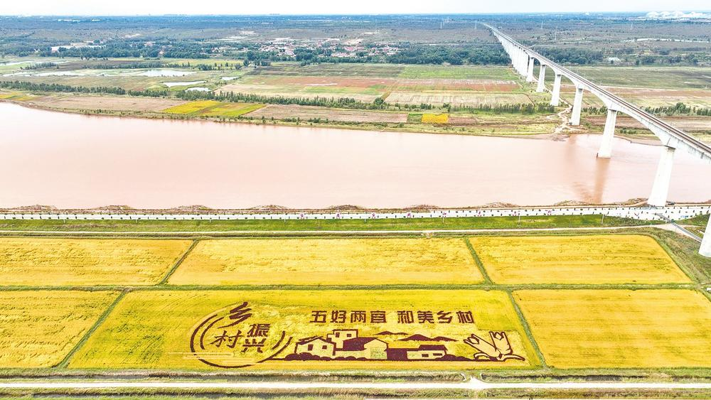 示范区举行青少年科技运动会暨中小学生科学创新优秀作品展示活动(图2)