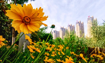 洛阳启动省国际科技合作项目申报(图1)