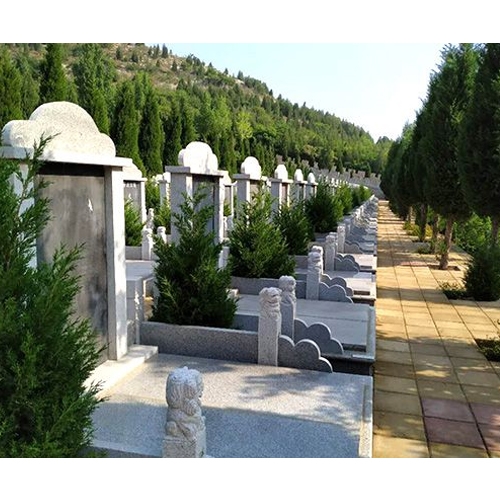 球盟会：第一批人形机器人已经开始倒闭了(图1)