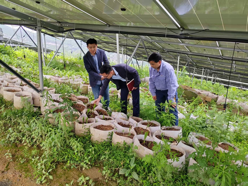 安顺职院：服务乡村振兴 书写安职担当(图4)