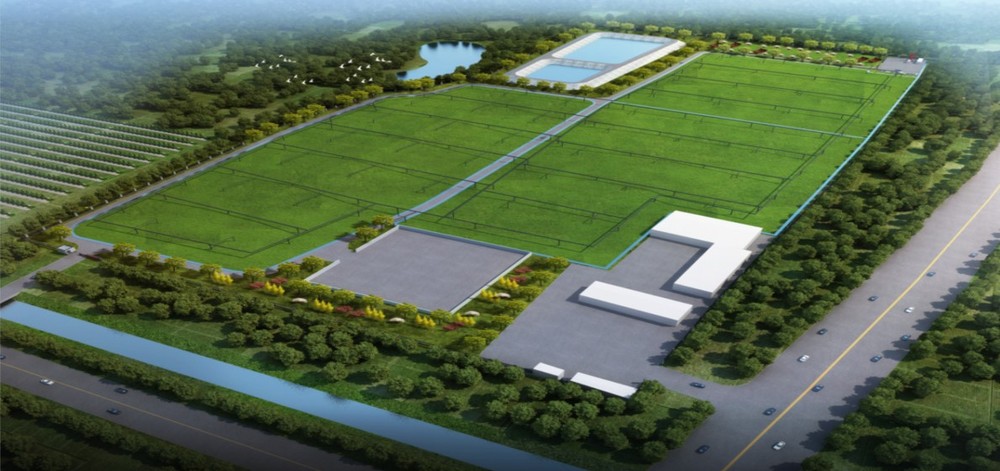 城市蝶变展新姿 民生升温暖郾城(图1)