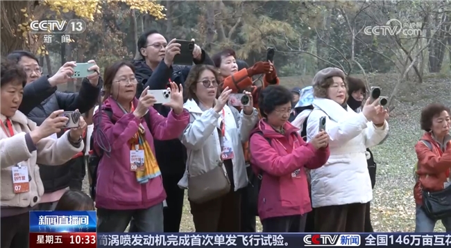 从 “养老” 到 “享老”：央视聚焦银发族精神生活革新 兴趣岛成行业实践样本(图3)