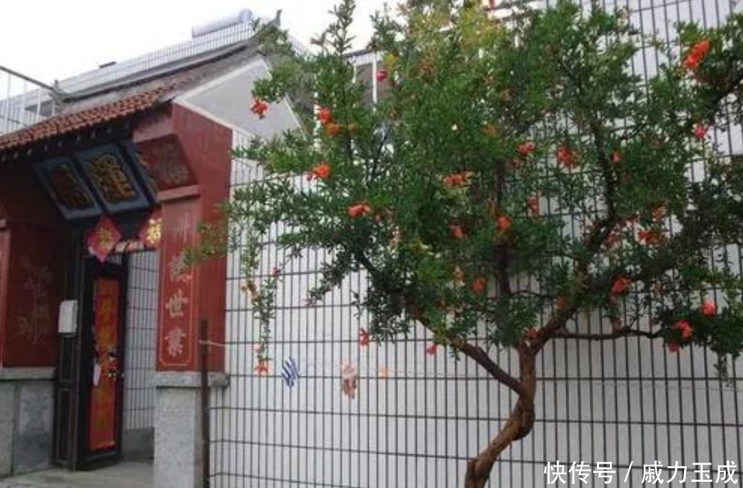 央媒看济宁丨法治日报点赞济宁社保服务(图1)