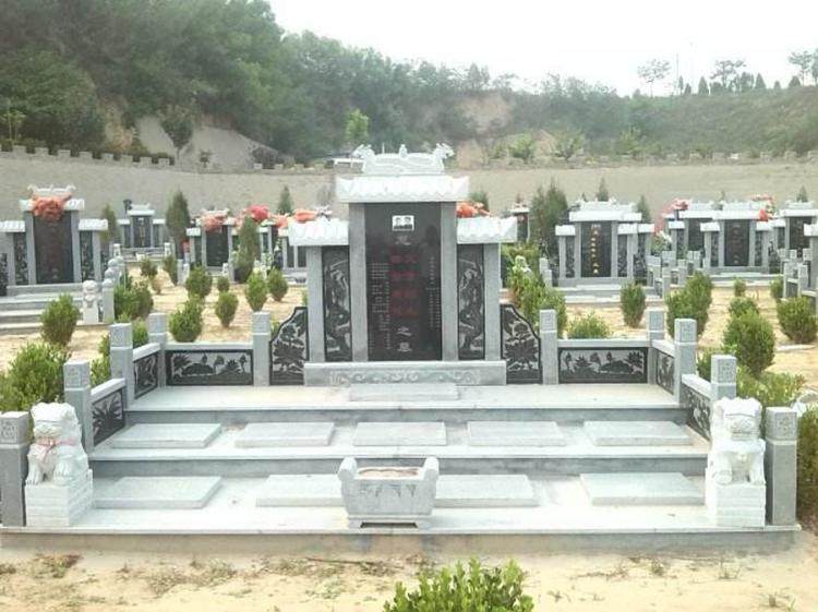 “县镇村六美”征文展播之山东禹城市莒镇(图1)