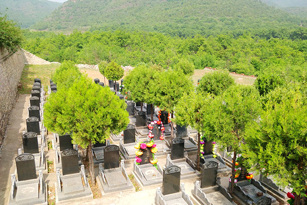 球盟会入口：郑州墓地陵园【2026年】价格参考_预约看墓_购买流程(图1)