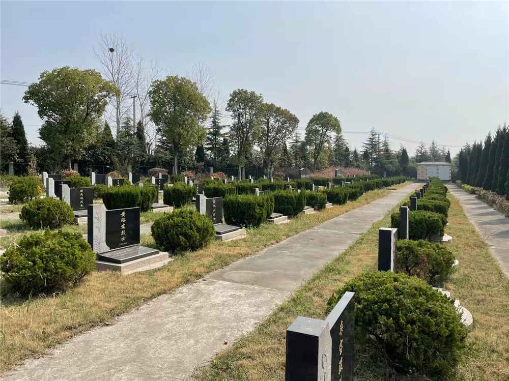 权威评论_河北新闻网(图1)