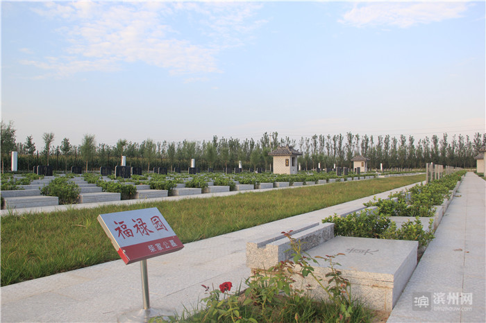 最高检发布检察公益诉讼典型案例：有医生向殡葬业违法提供逝者信息获利(图1)