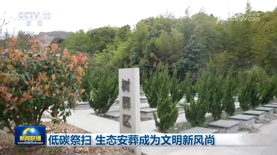 低碳祭扫 生态安葬成为文明新风尚(图3)