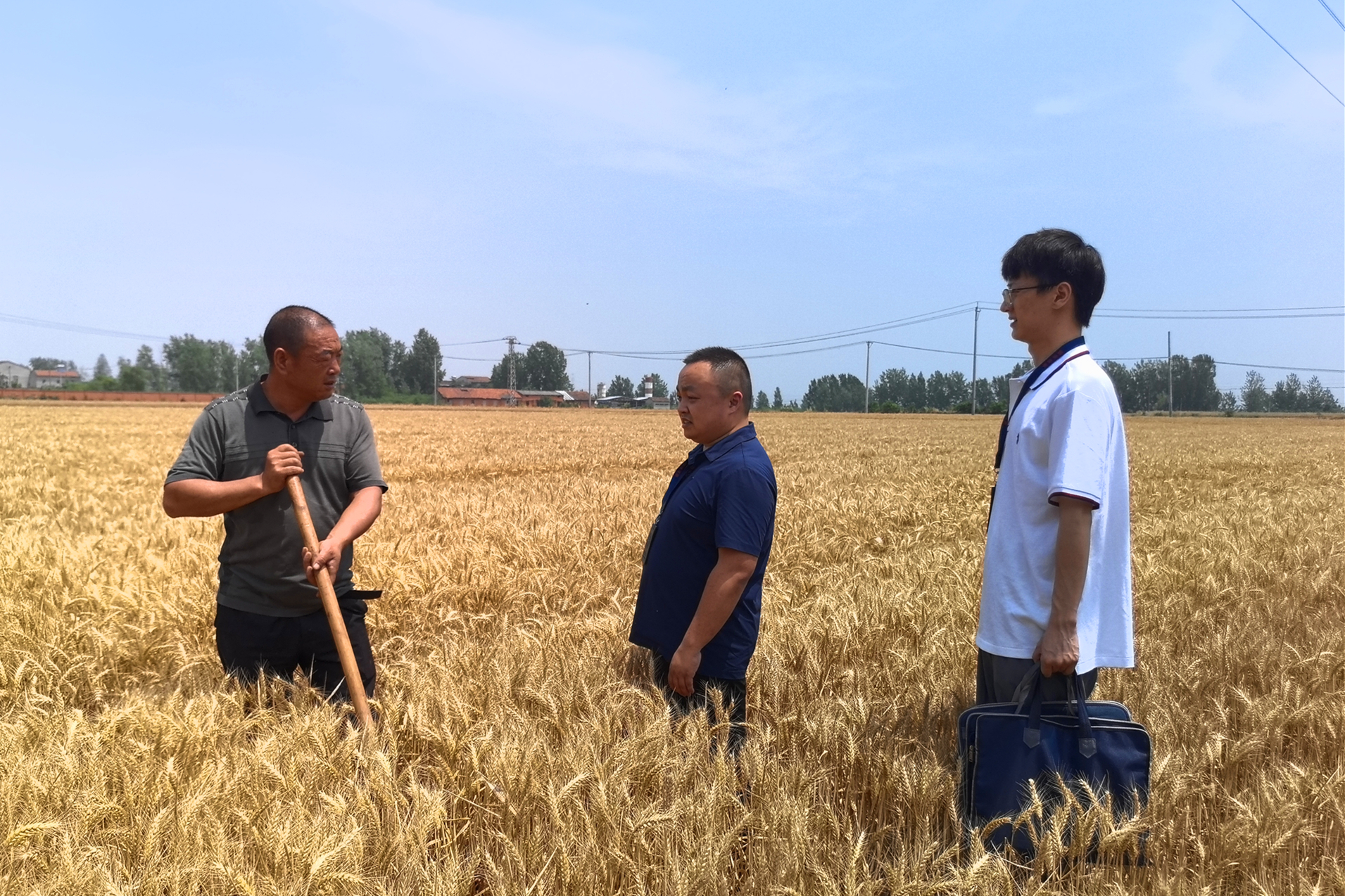 球盟会：2026年平顶山市政府工作报告：支持真实生物、五星新材等企业上市(图1)