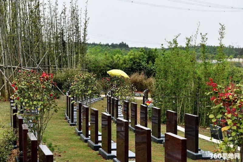 天津滨海新区服务中心殡葬服务-丧事殡仪(图1)