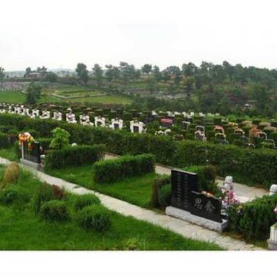 天津开展节地生态安葬活动倡导绿色殡葬新风(图1)