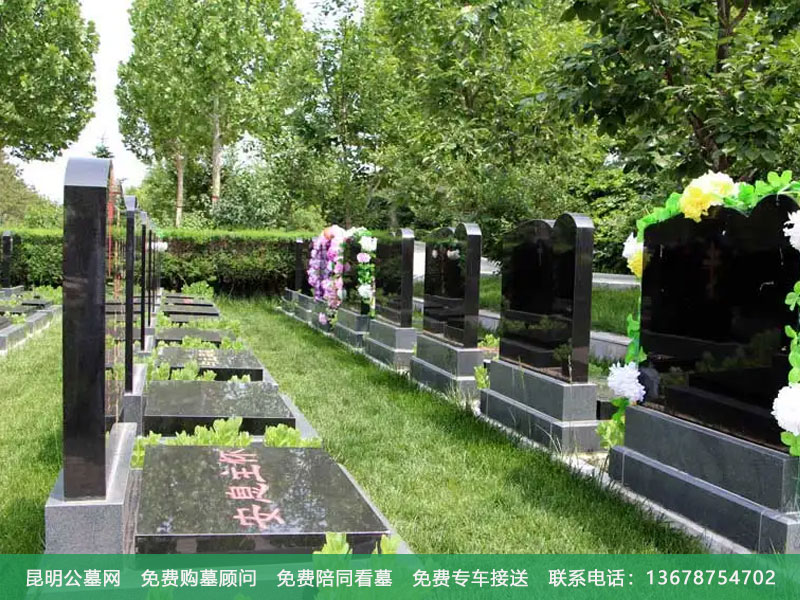 北京中医药大学东方医院助力2024中医药妇幼健康协同发展平台年会在京举办(图1)