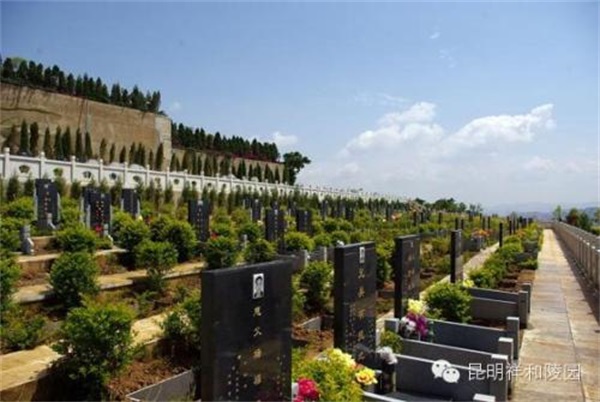 天津白事一条龙 电线(图1)