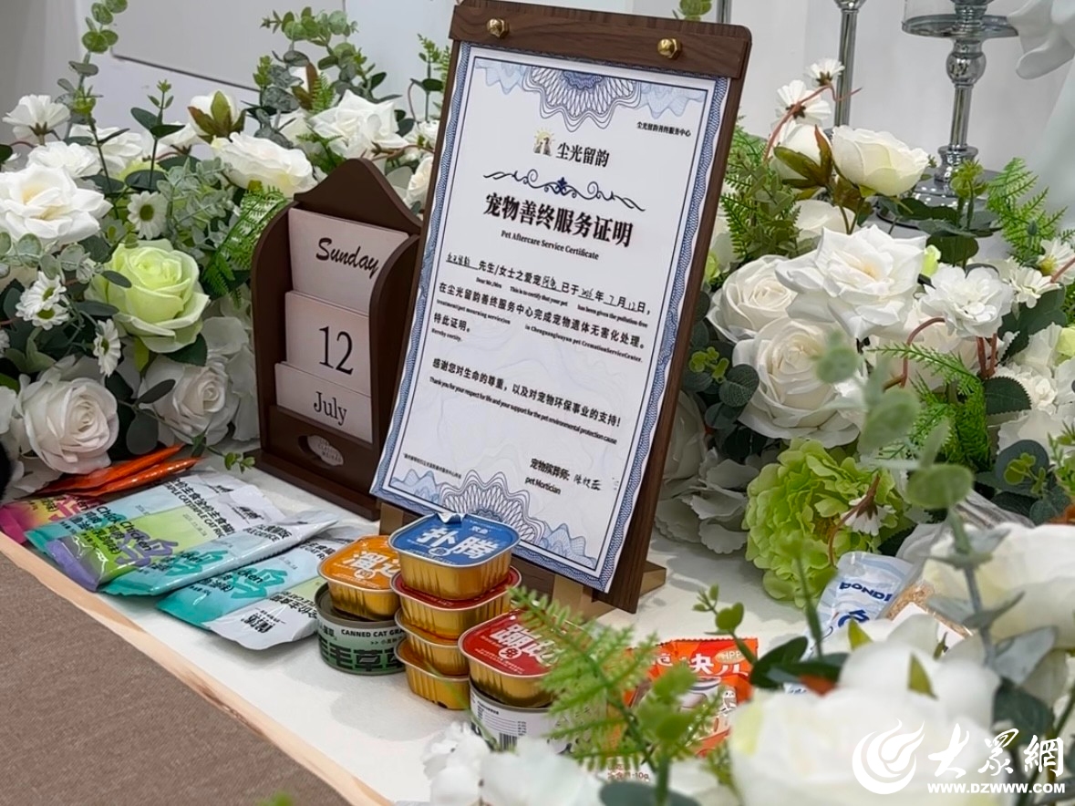 让宠物体面“告别”他在聊城开了一家宠物殡葬店_今日要闻_聊城大众网(图1)