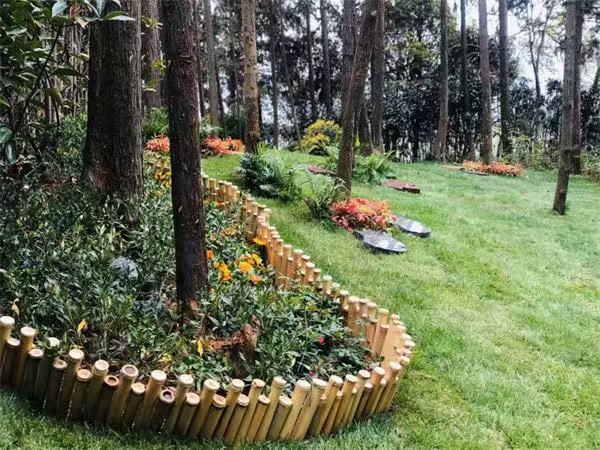 2026年杭州墓地环境好的公墓有哪些口碑好的合法陵园筛选名录(图3)