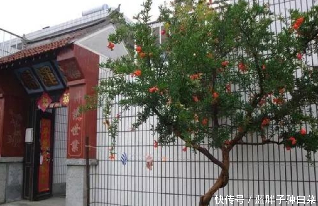 电力现货市场交易策略深度解析（附完整版）(图1)