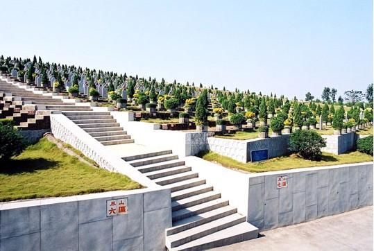 乐创技术(已切换)(图1)